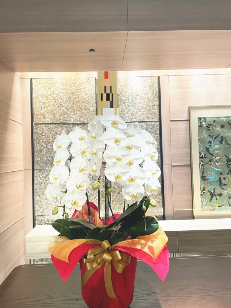 銀座のクラブママへ贈った胡蝶蘭