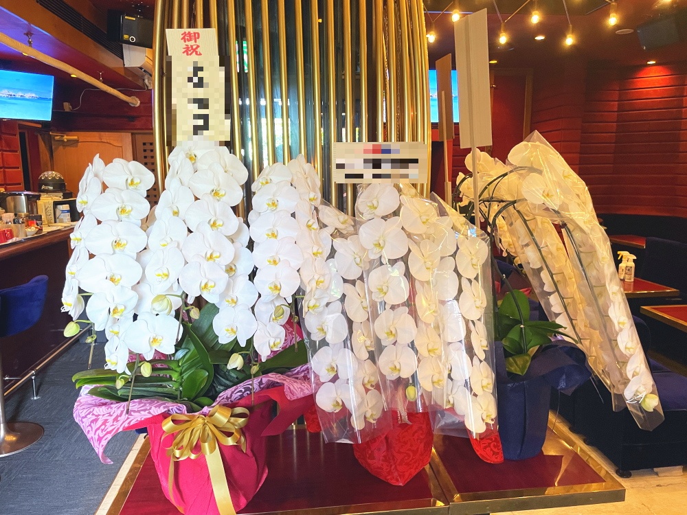 銀座のクラブママが誕生日。お祝いの花（胡蝶蘭5本立）の納品実例