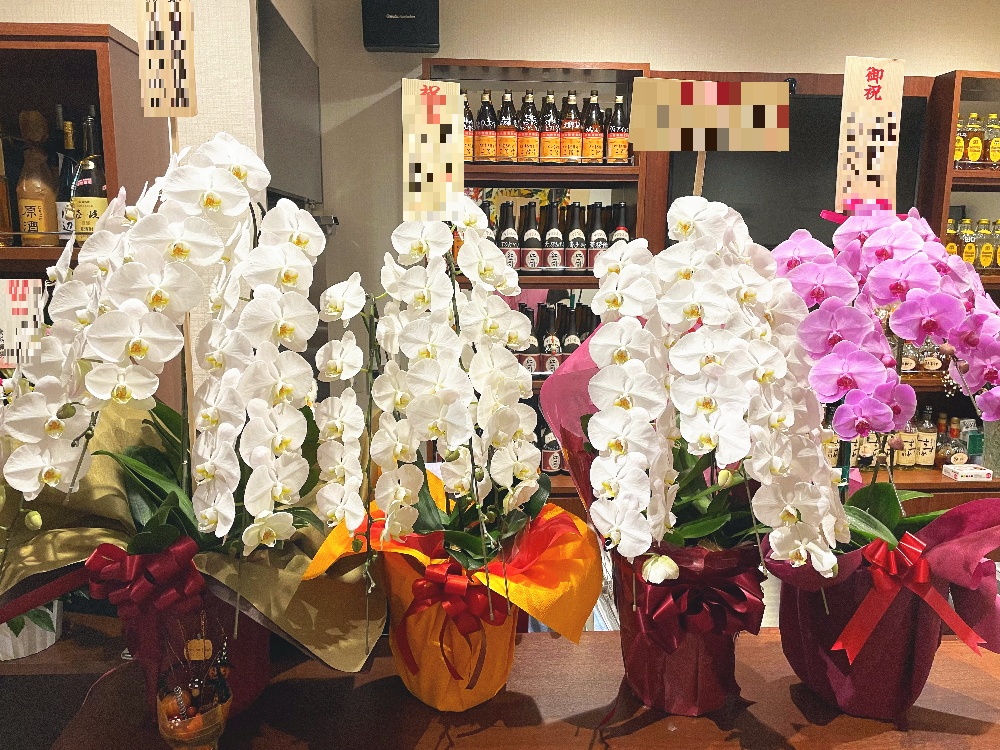 ママの就任祝いに届いた色とりどりの胡蝶蘭がカウンター上に並んだ画像