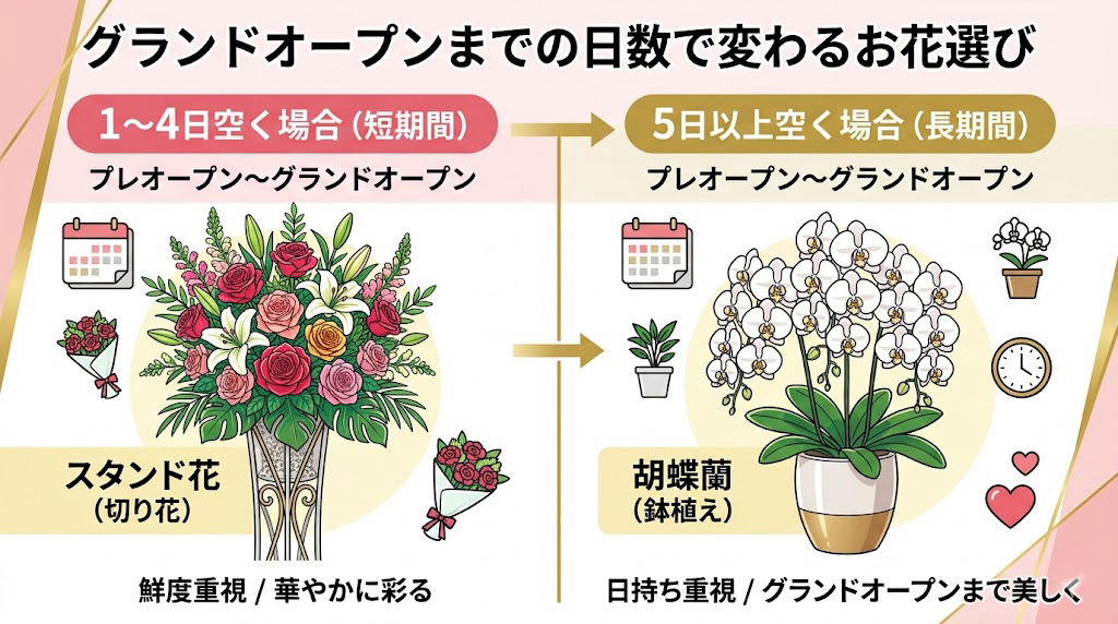 プレオープンからグランドオープンまでの日数に合わせた最適なお花選び（スタンド花と胡蝶蘭の比較）
